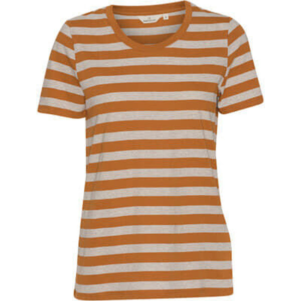 Basic Apparel T-shirt Rebekka Stripe Brown/Natural