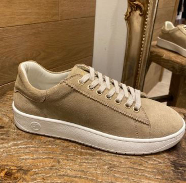 Philip Hog Sneakers Sofia Sand