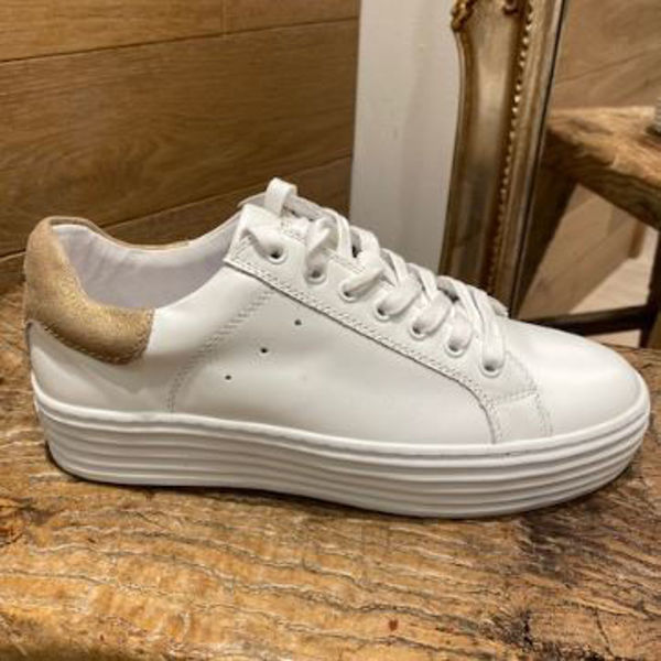 Philip Hog Sneakers Lova White/Gold